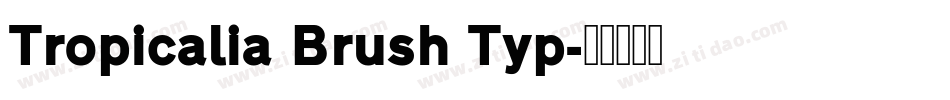 Tropicalia Brush Typ字体转换
